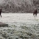 IMG-20221214-WA0003