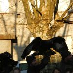 DSCN0165