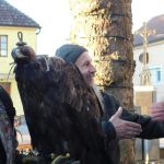 DSCN0254